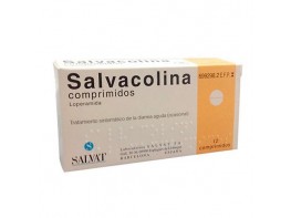 Imagen del producto Salvacolina 12 comprimidos